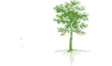 THE GREEN TREE
